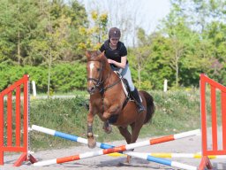 IMG_0580_web